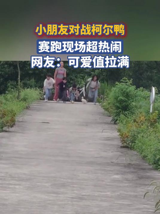 小朋友对战柯尔鸭,赛跑现场超热闹,网友:可爱值拉满