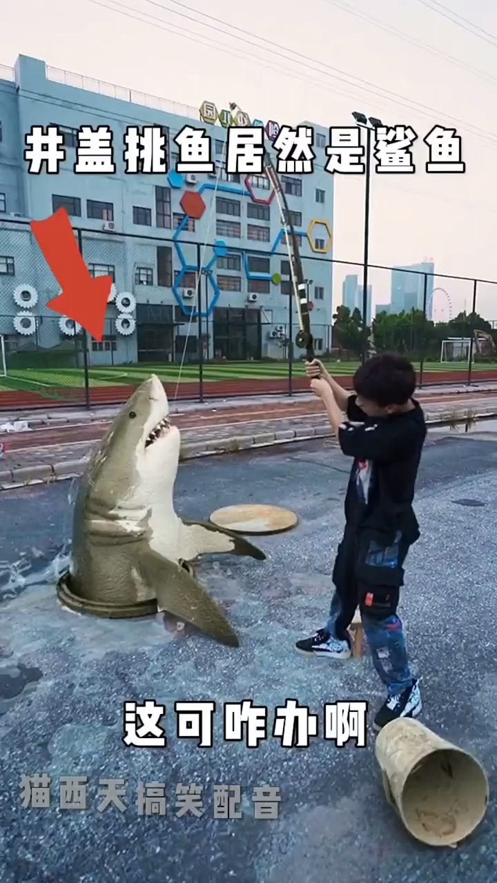 下水管道钓出鲨鱼 一个比一个狠