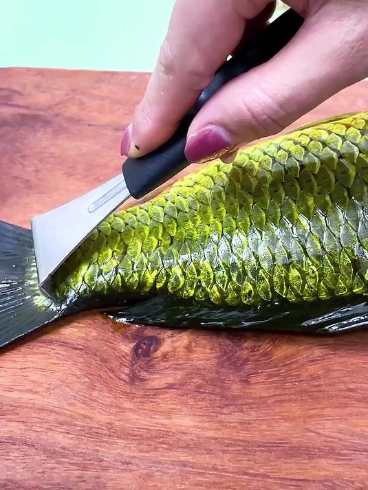 传统工具刮伤鱼?安全间距,只去鳞不伤肉