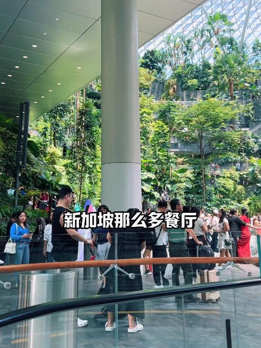 新加坡宝藏餐厅攻略！飞机一落地就要冲！
