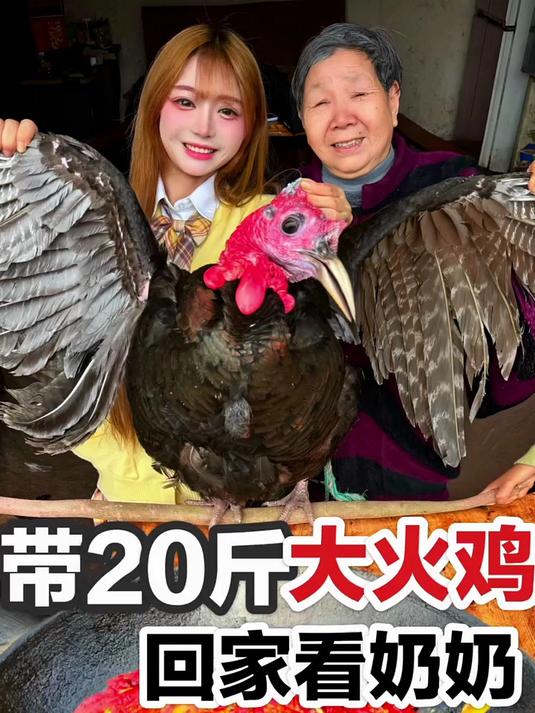 带20斤巨型火鸡 回家看看奶奶啦～～
