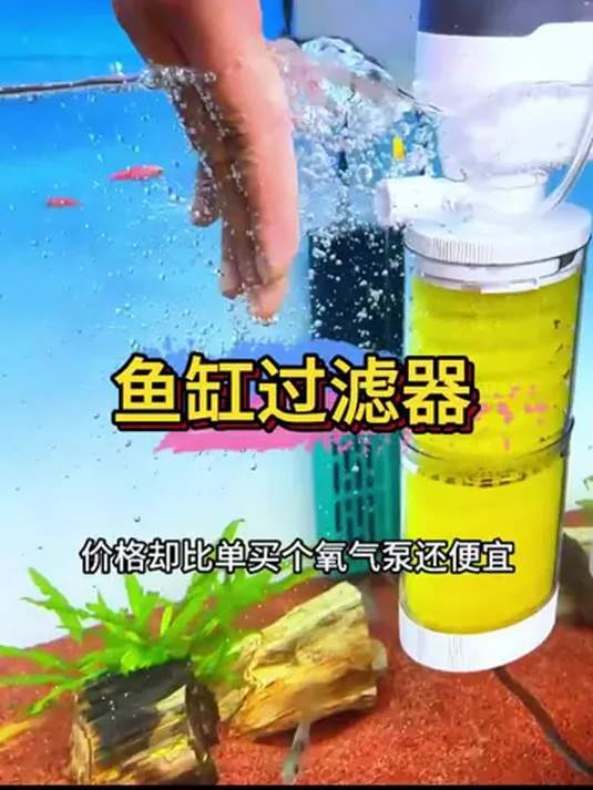 鱼缸三合一过滤器 轻松除鱼便垃圾 水质变清养好鱼