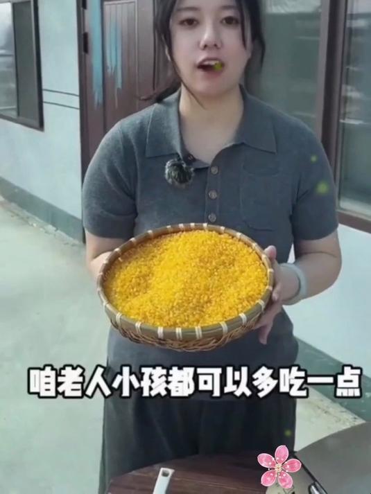 香糯小玉米碴 5 斤!东北当季新货,黏糯粗粮煮粥早餐超好吃