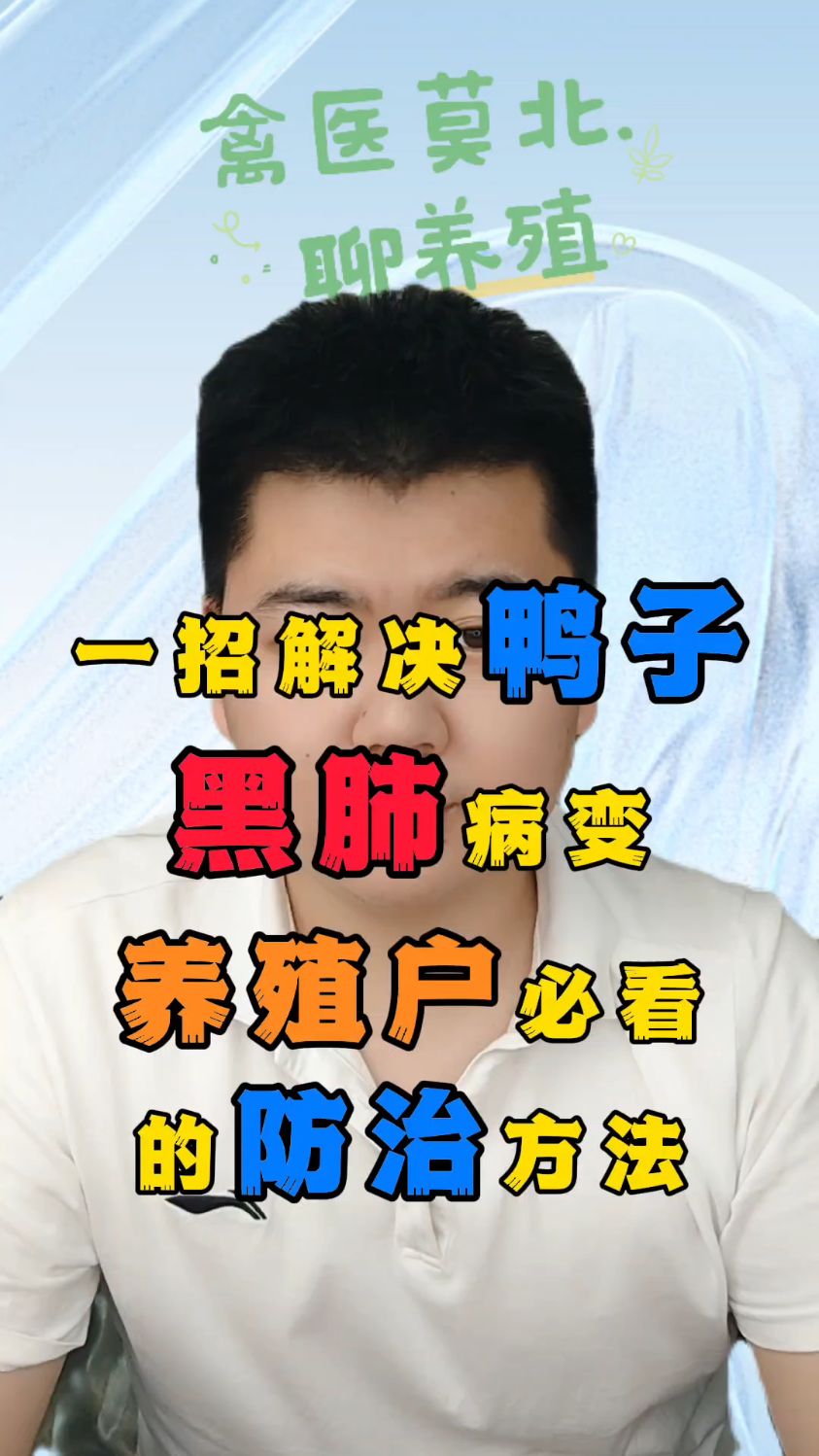 鸭子黑肺病的怎么办鸭子黑肺是什么原因鸭子黑肺是怎么造成的鸭子肺有黑点怎么回事