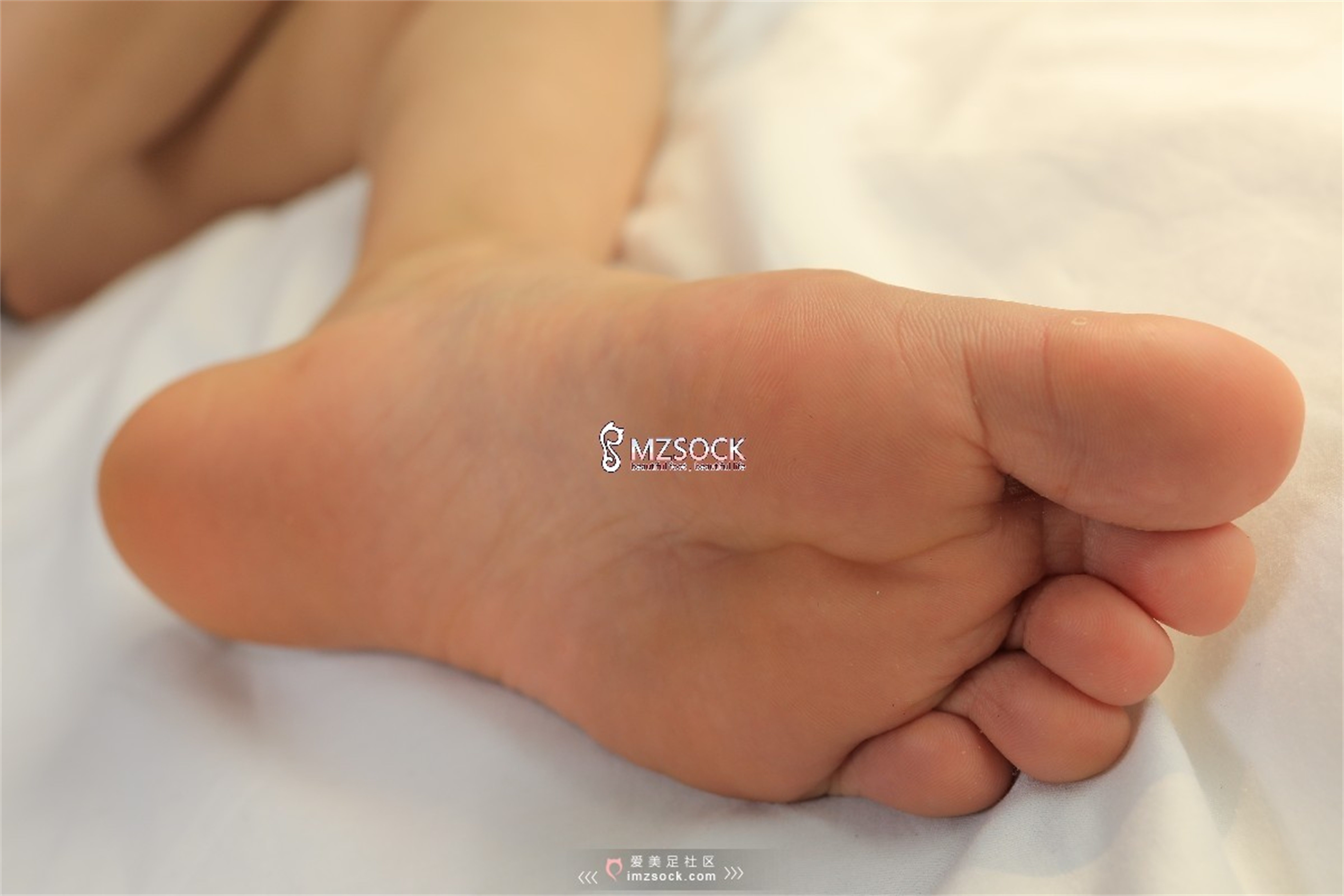 图片[68]-[MZSOCK]爱美足 NO.046 晶晶[81P163M]-六色网