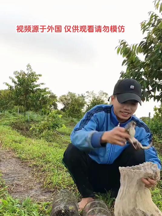 外国小哥看田鸡笼。这个在中国可是保护动物，朋友们请勿模仿哦