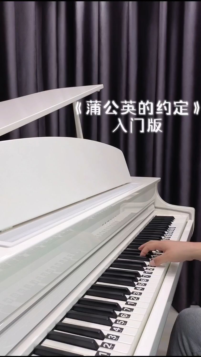 简单优美《蒲公英的约定》双手简谱教学