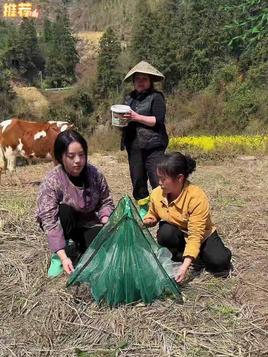 自动捕鱼网一放,鱼虾自动往里钻,不用守着轻松收获#春季开播焕新季##捕鱼#