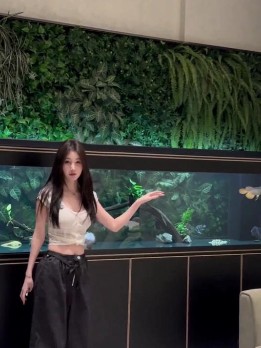 今天给大家看一下,我朋友的养鱼空间,这么多漂亮的鱼缸是谁的呢
