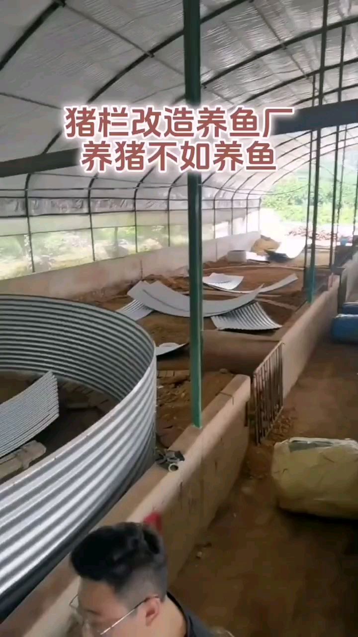 八戒的错?猪场改造养鱼,镀锌板帆布鱼池进场安装,后续看效果