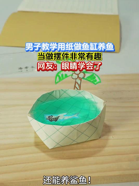 男子教学用纸做鱼缸养鱼,当做摆件非常有趣,网友:眼睛学会了