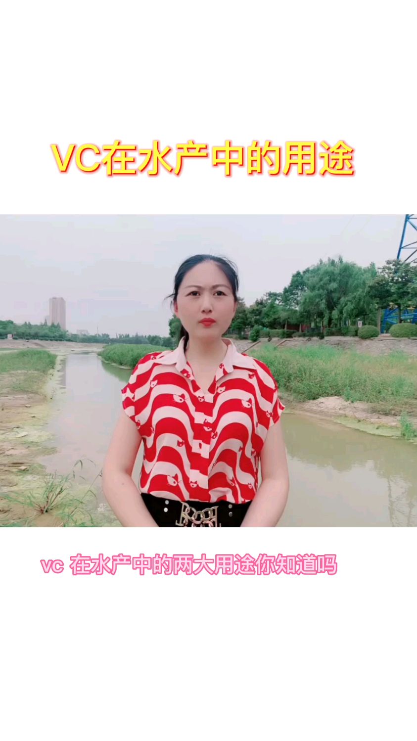 应激VC在水产中的用途