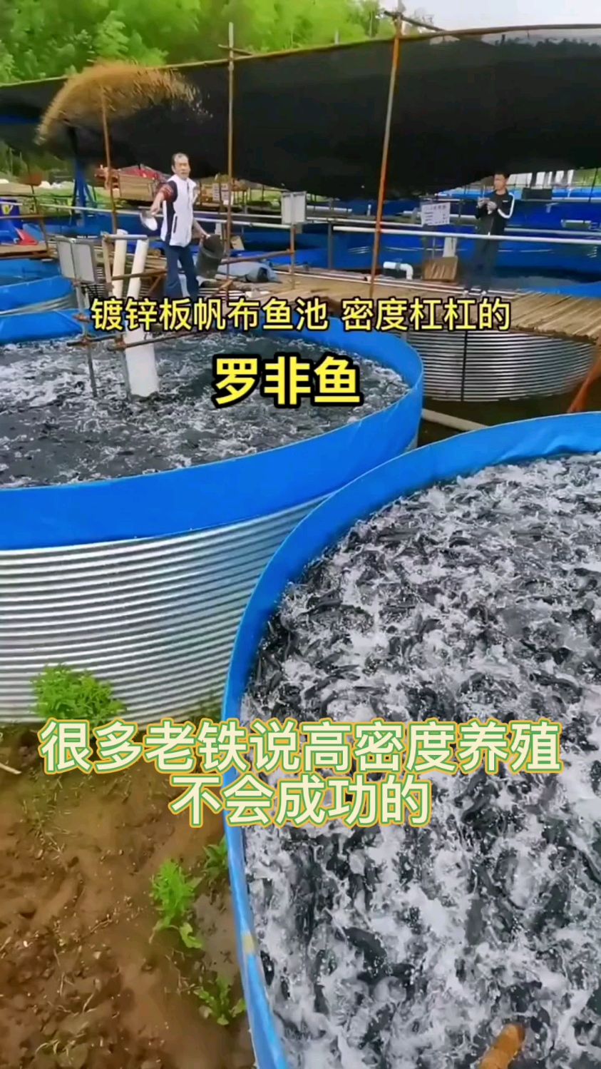 高密度成不成功取决于你的技术和管理