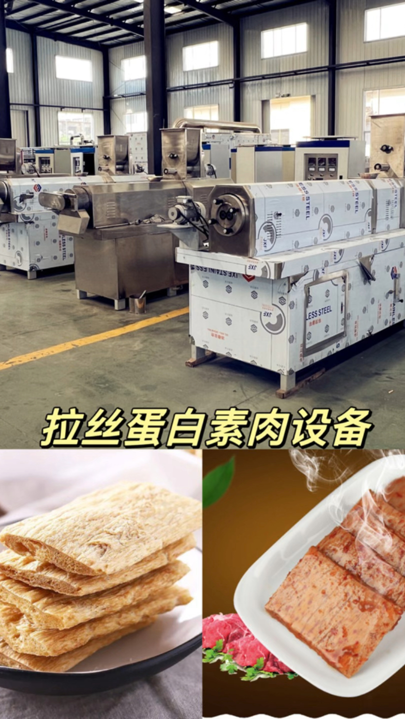拉丝蛋白生产线,时产200-300kg,素肉生产设备