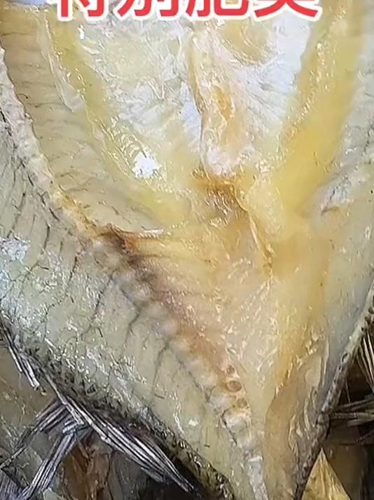 新鲜海鱼制作,肉质紧实,煎一下就超香超下饭#海鲈鱼干#