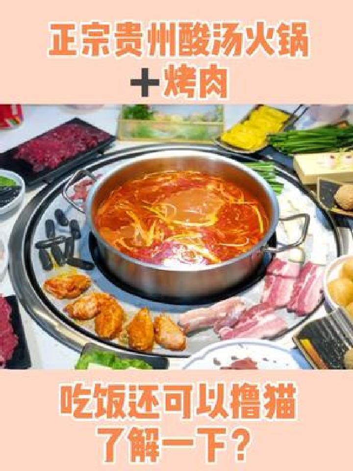 正宗贵州酸汤火锅烤肉 还可以撸猫的宝藏推荐