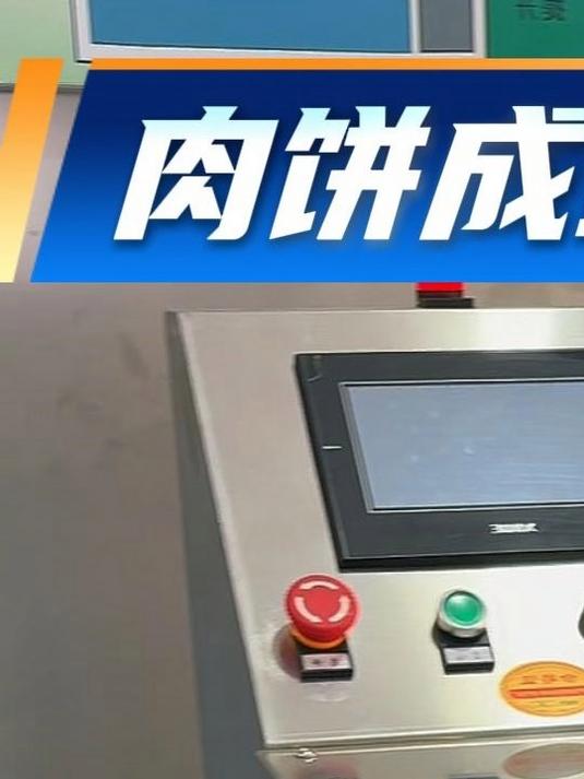 肉饼成型机加摆盘机鱼饼成型机全自动摆盘机汉堡肉成型机