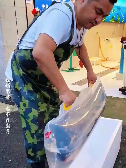 人们为什么要将鱼，放进密封的塑料袋里面