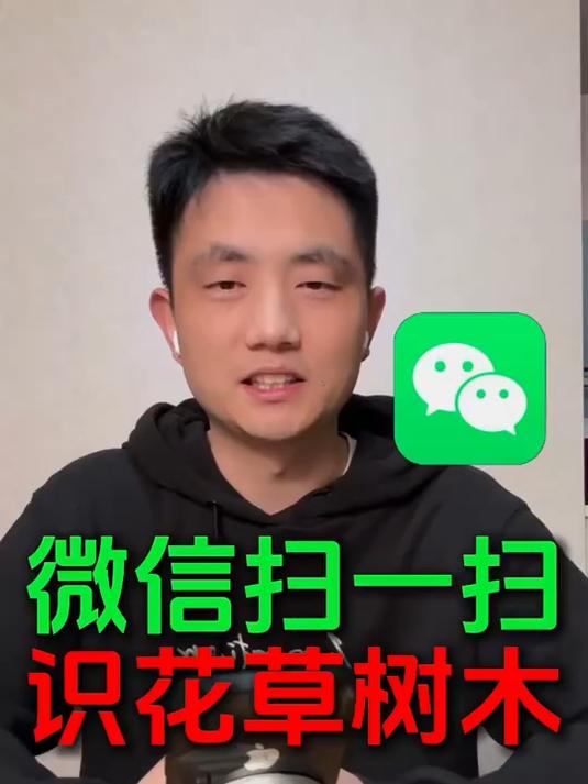 旅游帮手:微信扫一扫,识别花草树木、物品