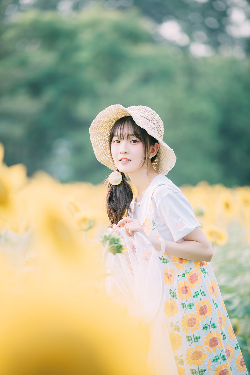 图片[3]-向日葵-六色网