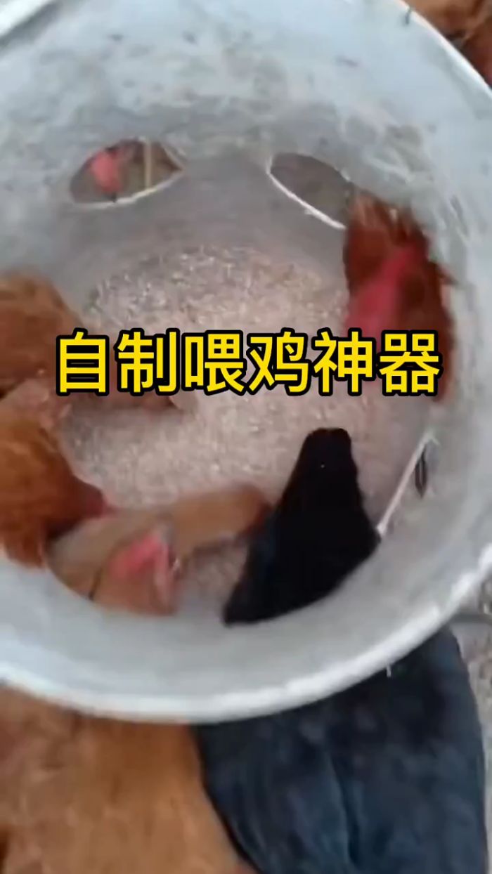 自制喂鸡神器