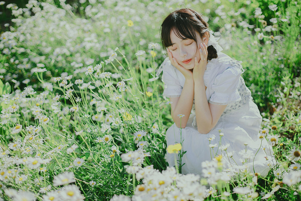 图片[2]-初夏の小雏菊Ⅱ-六色网