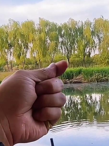 苍源河段鲫鱼大爆发！探钓实测，每一竿都有惊喜