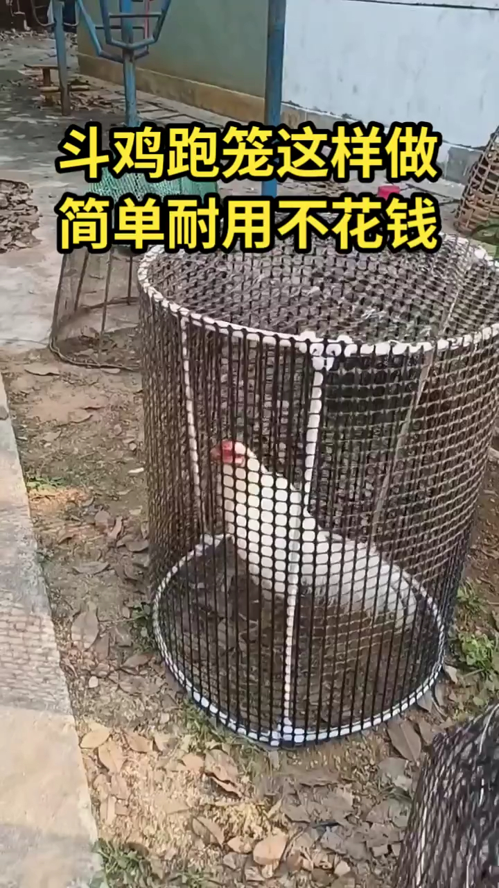 斗鸡跑笼这样做简单耐用