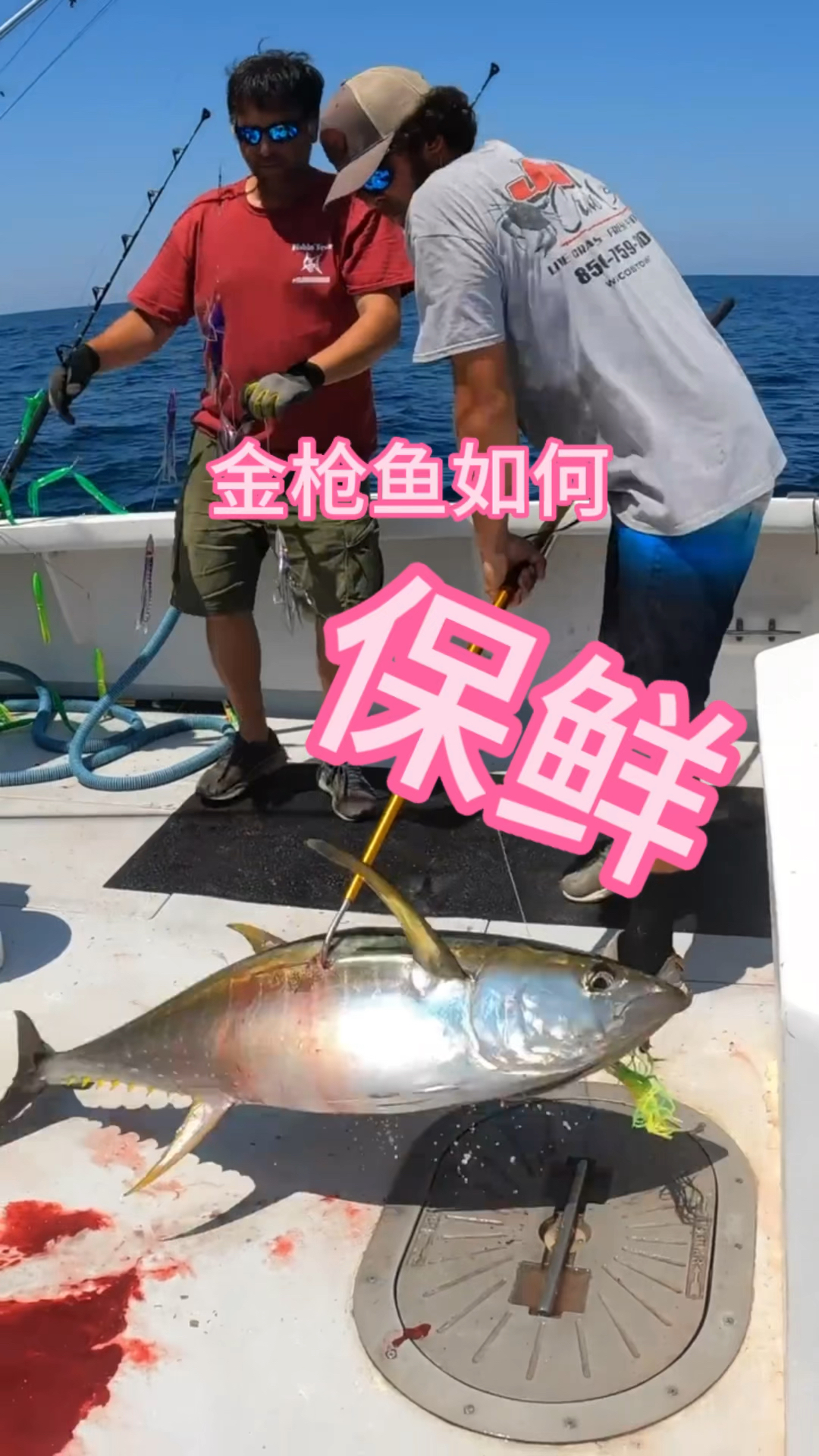 金枪鱼模型桌面摆件