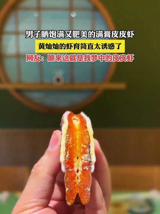 男子晒饱满又肥美的满膏皮皮虾,黄灿灿的虾膏简直太诱惑了