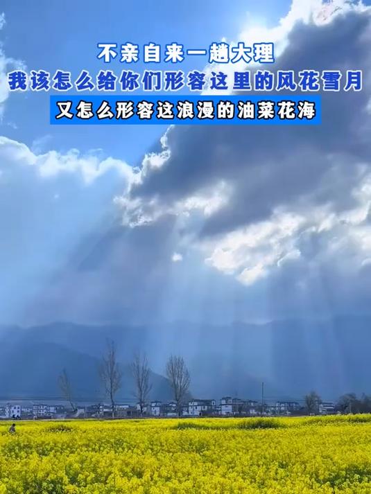 不亲自来一趟大理,我该怎么给你们形容这里的风花雪月