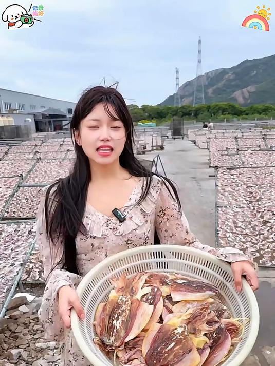 墨鱼干营养美味煲汤鲜香z