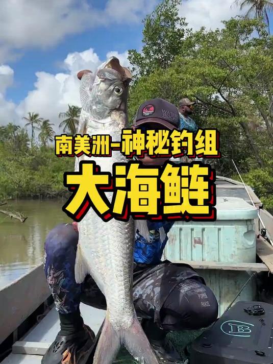 南美洲用神秘钓组大海鲢！200斤的巨型海鲢真的存在吗？