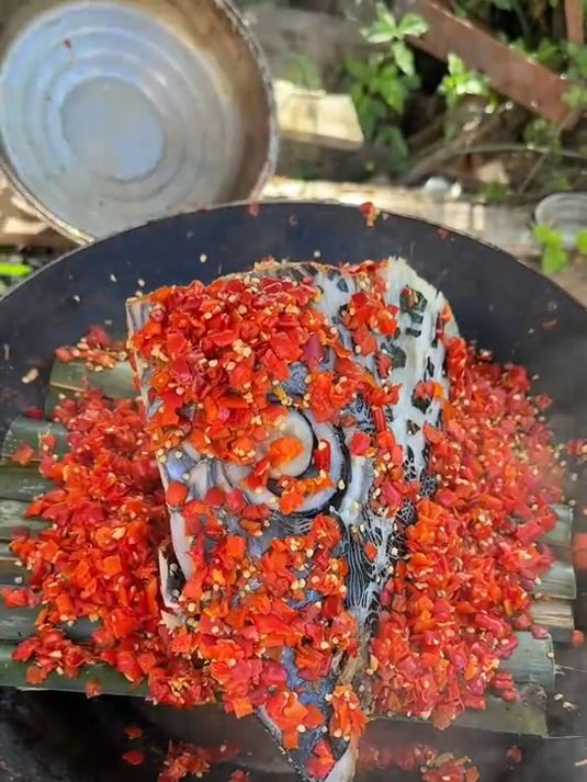 这是什么鱼？眼睛真大！