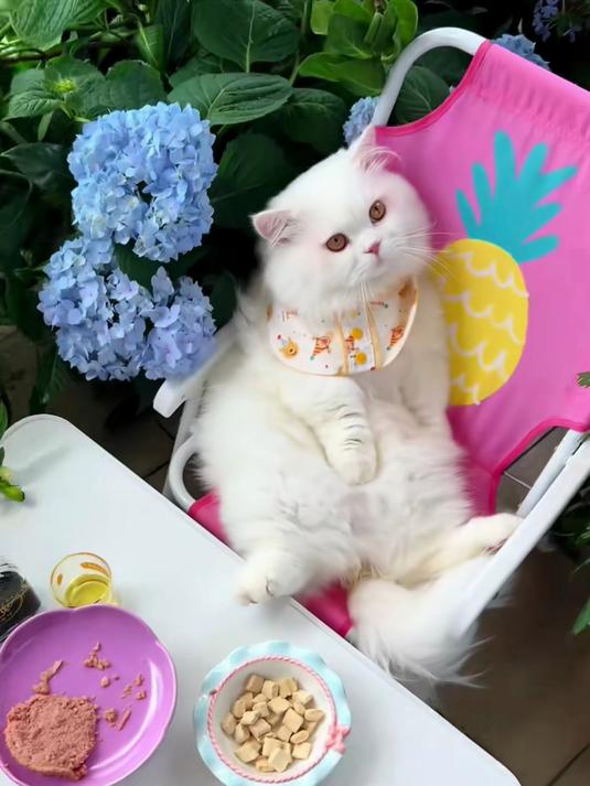 小猫咪《卡通人物》绘画水平