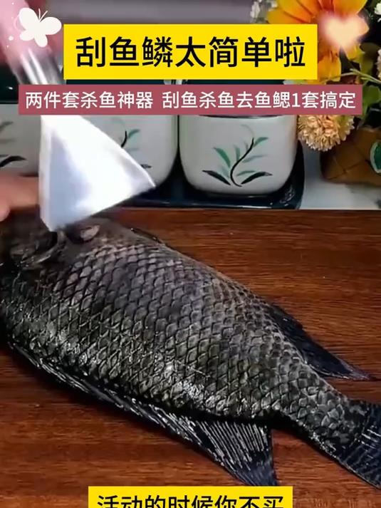 惊!这款刮鳞神器凭啥能让鱼鳞服服帖帖,还不伤鱼皮手?