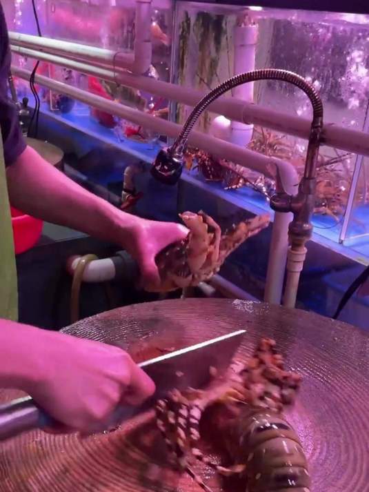 澳洲大龙虾就得这么切