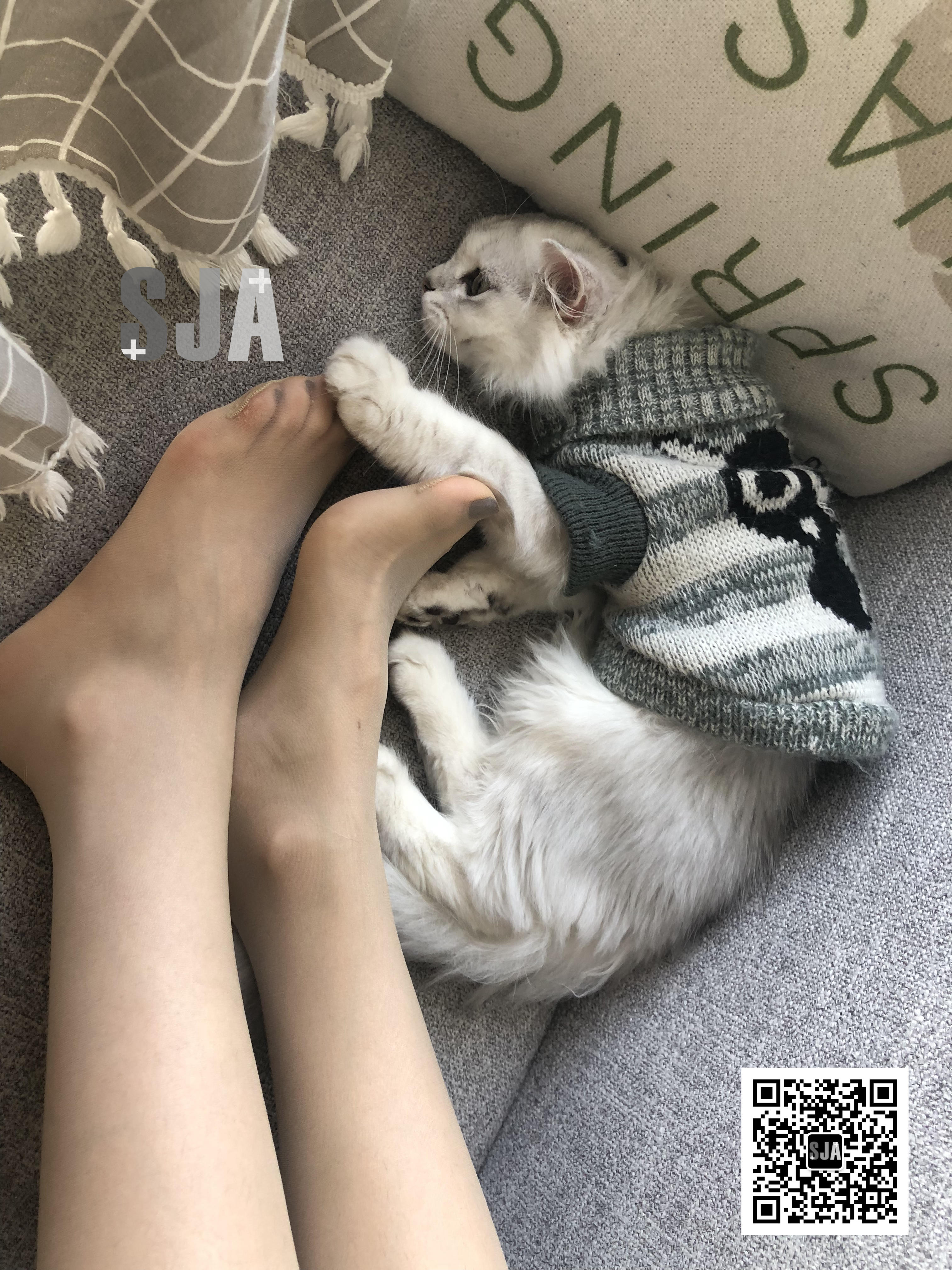 图片[59]-[SJA佳爷]闺蜜视角 NO.013 喵 [60P+81M]-六色网