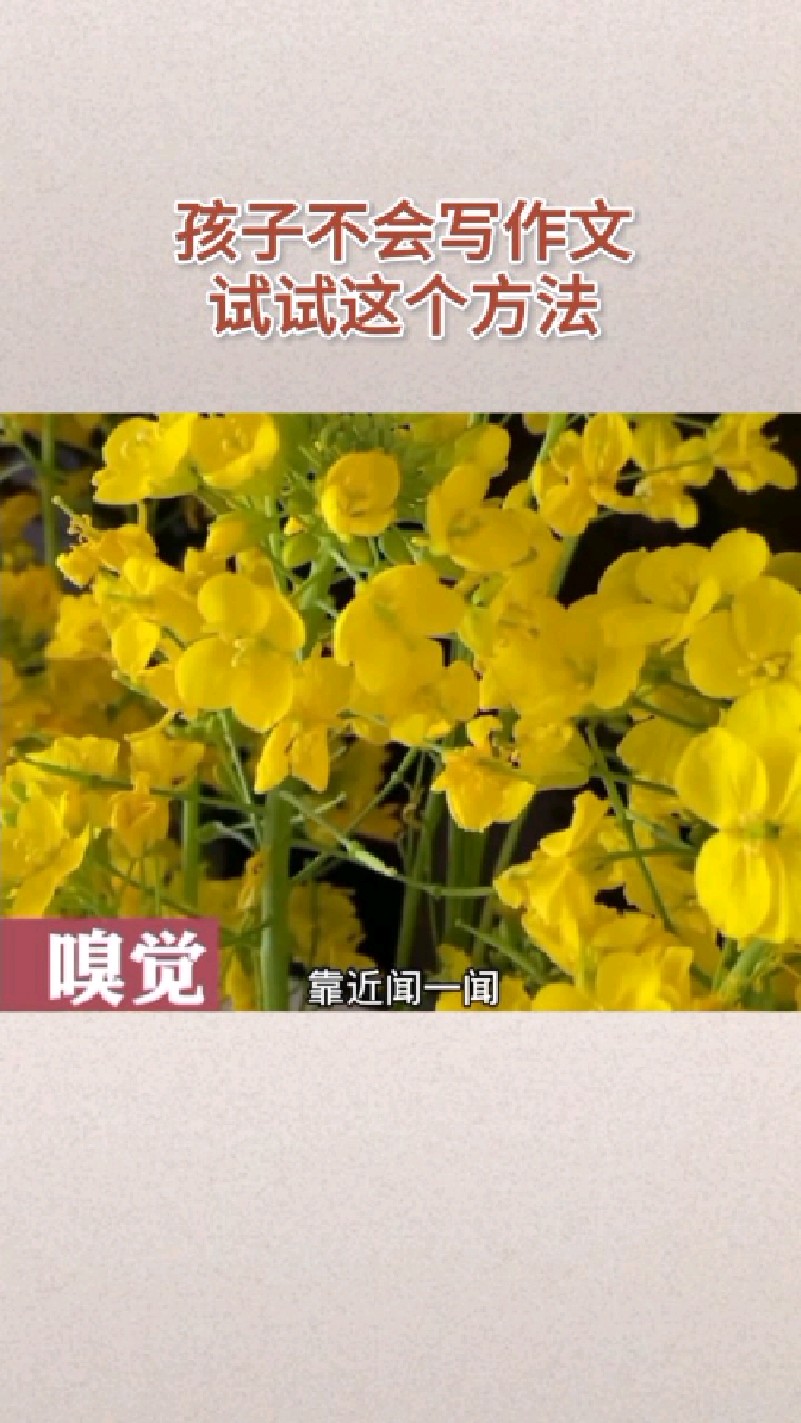 孩子不会写作文,试试这个方法