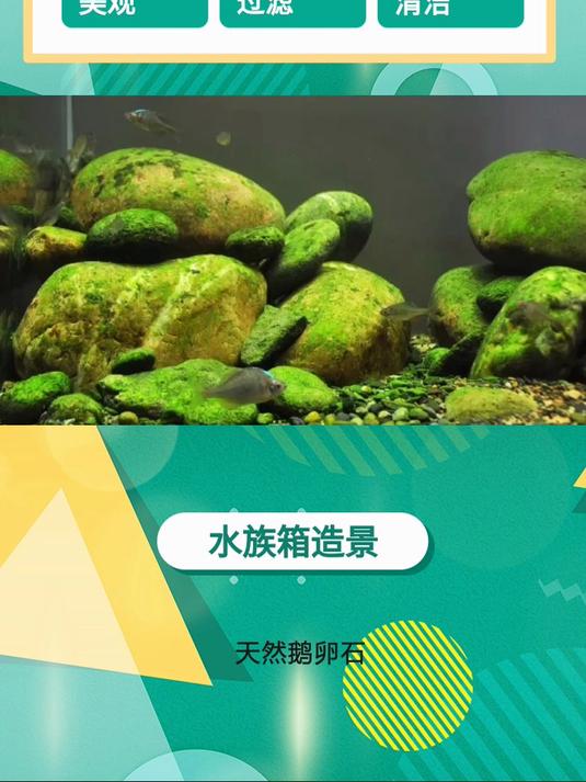 天然鹅卵石,让你的水族箱焕然一新,清澈透明,水草茵茵,仿佛置