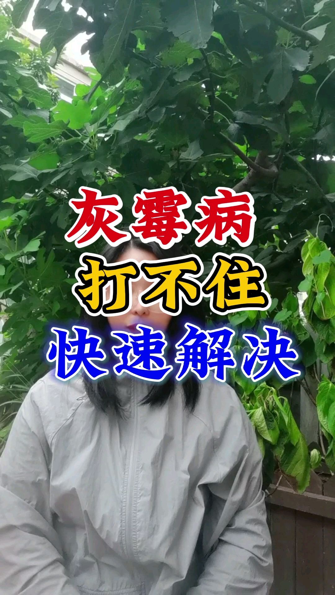 作物灰霉病用什么药效果好?该怎么防治灰霉病