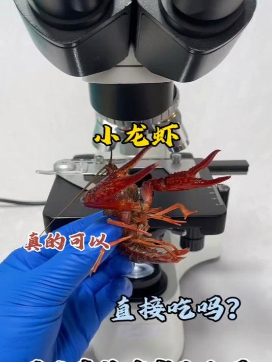 小龙虾真的有寄生虫吗?