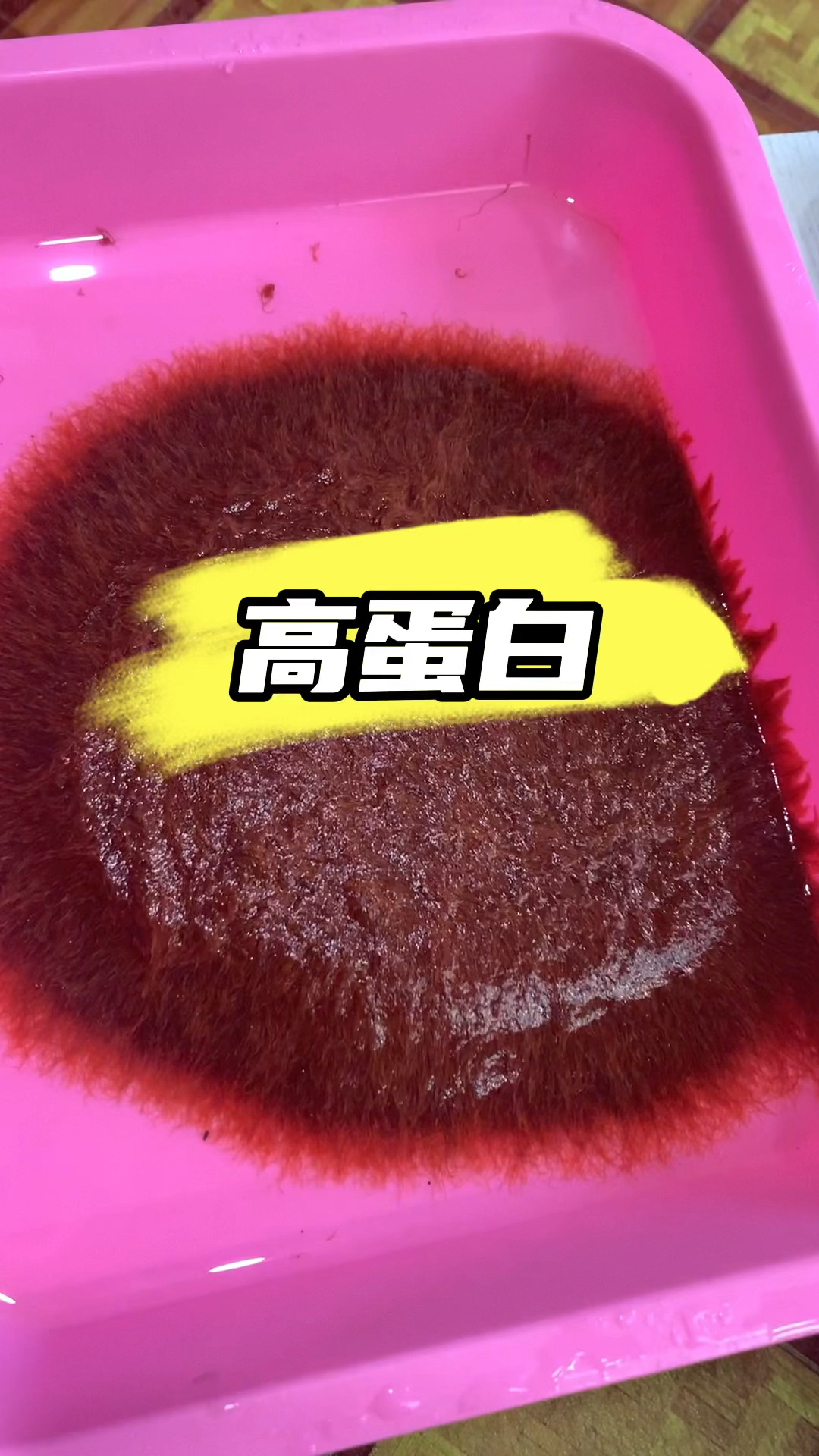 一款高蛋白的鱼饲料,红线虫 #孔雀鱼 #鱼食#水族 #养鱼人 #养鱼日记