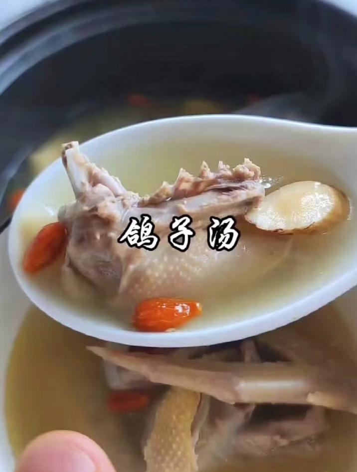 温补不上火的鸽子汤,美味滋补两不误