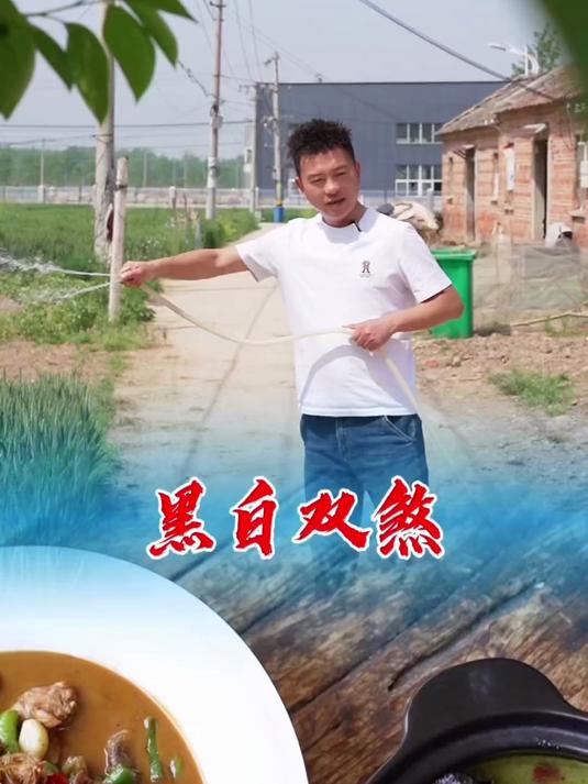李寡妇给我送了乌鸡和草公鸡