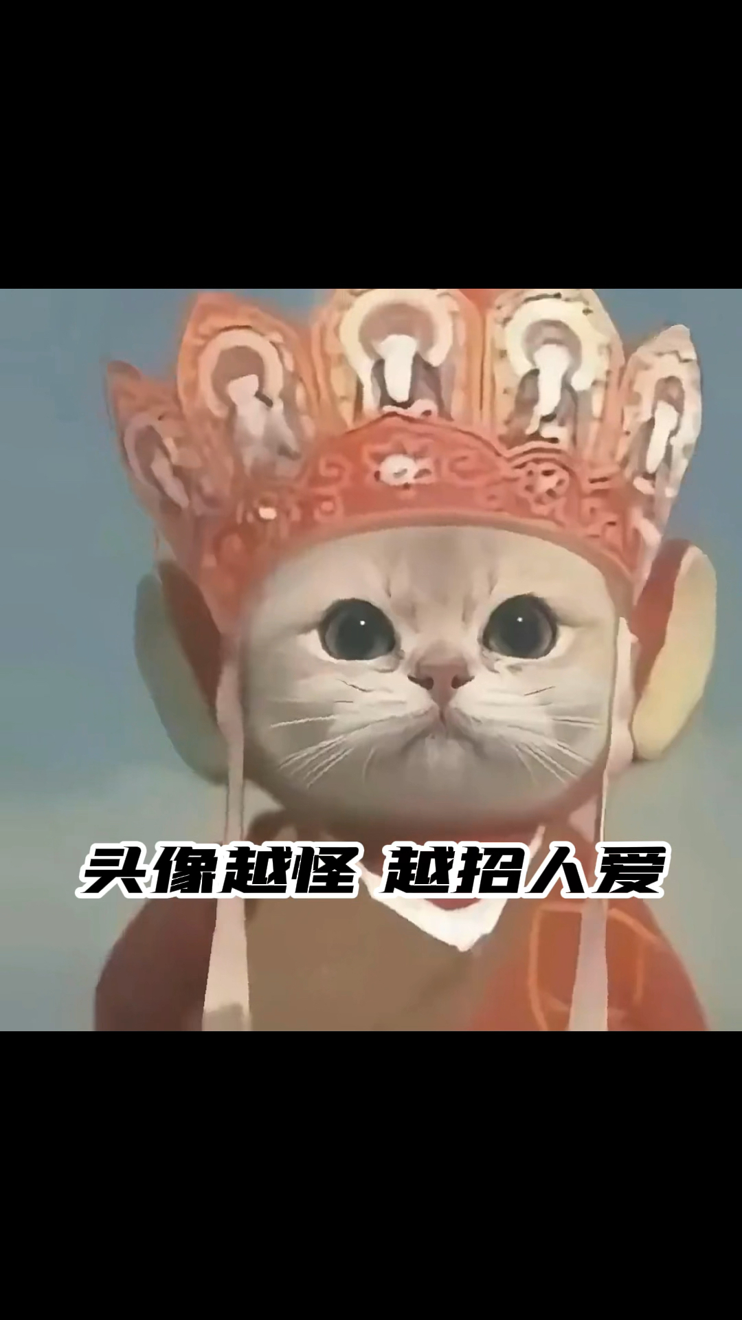 头像越怪越招人爱,搞怪头像