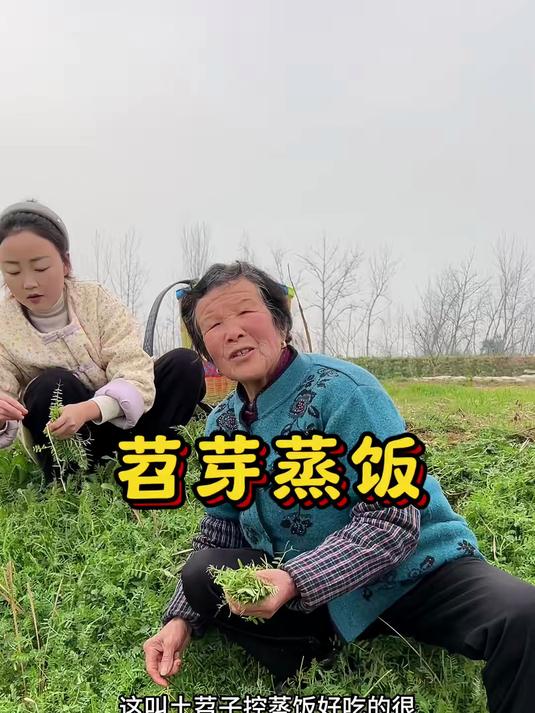 春天的美妙就是,田间地头都藏着各种野菜,这个草很多人见过却不知道怎么吃