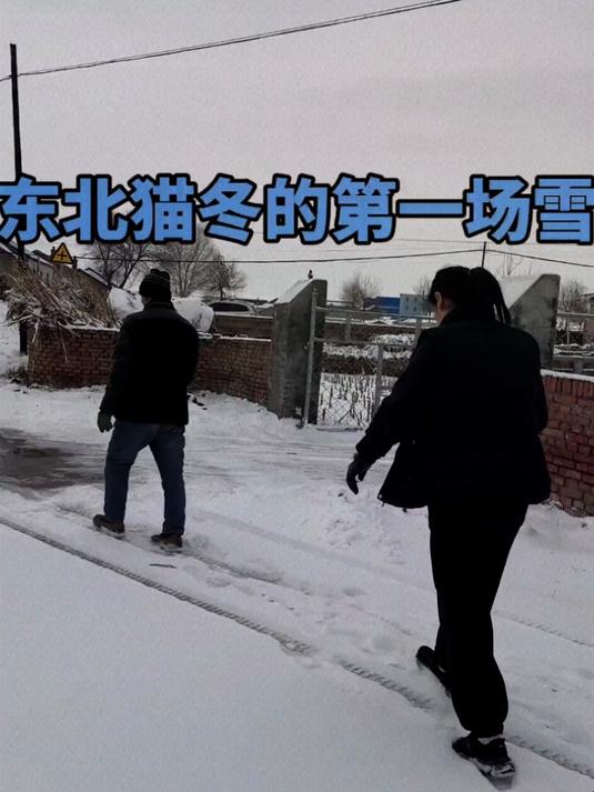 落雪似银河铁锅炖大鹅