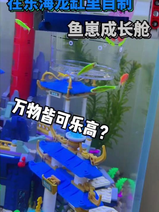 “东海龙缸”里的鱼生崽了……乐高