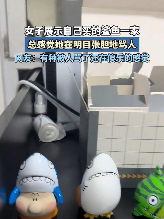 女子展示自己买的鲨鱼一家,总感觉她在明目张胆地骂人